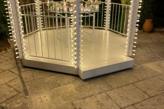 Cassarmonica luminosa